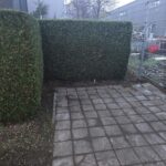 WhatsApp Image 2026-04-06 at 20.21.45 (1)